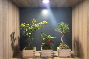 令和8年　新年の挨拶　1月の休診日